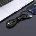 Acefast kabel MFI USB - Lightning 1,2m, 2,4A czarny (C2-02 black)