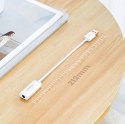 Adapter Ugreen US206 30712 USB-A (męski) / mini jack 3.5 mm (żeński) - biały