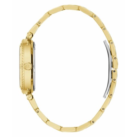 Ladies' Watch GC Watches Z05003L1MF (Ø 34 mm) Ladies' Watch GC Watches Z05003L1MF (Ø 34 mm)