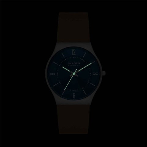 Men's Watch Skagen SKW6852 Men's Watch Skagen SKW6852