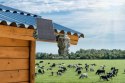 Technaxx Überwachungsset 4G PT Dome TX-290 z panelem solarnym - kamera sieciowa