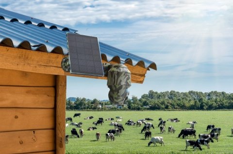 Technaxx Überwachungsset 4G PT Dome TX-290 z panelem solarnym - kamera sieciowa Technaxx Überwachungsset 4G PT Dome TX-290 z panelem solarnym - kamera sieciowa