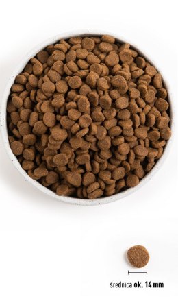 ORIJEN Senior 6kg