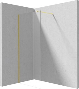 Ścianka prysznicowa walk-in 100 cm