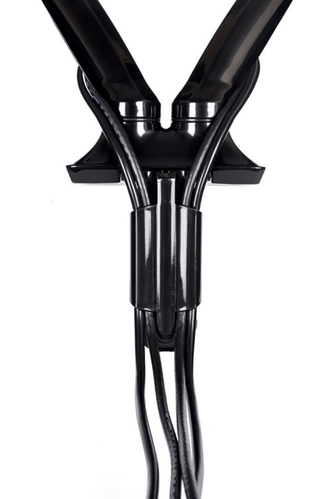 Uchwyt biurkowy Iiyama DS3002C-B1 - desk mount (adjustable arm) Uchwyt biurkowy Iiyama DS3002C-B1 - desk mount (adjustable arm)