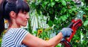 Einhell GE-GS 18 Li - Solo Czarny, Czerwony