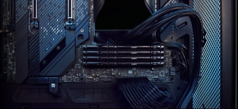 Kingston Technology FURY Beast moduł pamięci 32 GB 2 x 16 GB DDR5 5600 MT/s Kingston Technology FURY Beast moduł pamięci 32 GB 2 x 16 GB DDR5 5600 MT/s