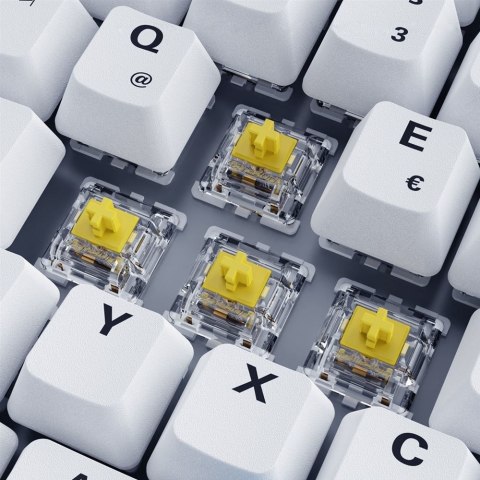 Sharkoon SKILLER SGK50 S3 PBT klawiatura Gaming USB QWERTZ Niemiecki Biały Sharkoon SKILLER SGK50 S3 PBT klawiatura Gaming USB QWERTZ Niemiecki Biały