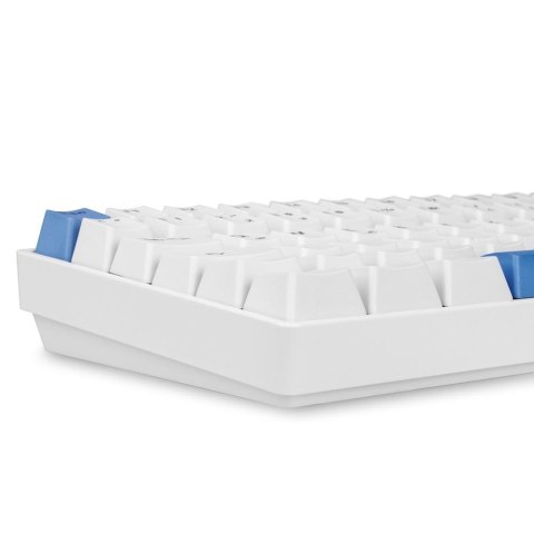 Sharkoon SKILLER SGK50 S3 PBT klawiatura Gaming USB QWERTZ Niemiecki Biały Sharkoon SKILLER SGK50 S3 PBT klawiatura Gaming USB QWERTZ Niemiecki Biały