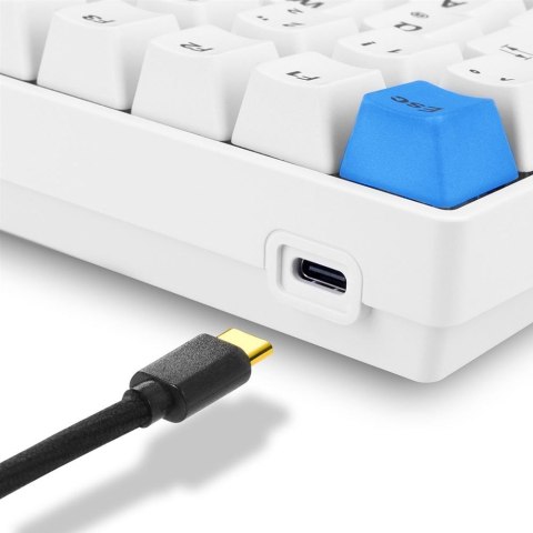 Sharkoon SKILLER SGK50 S3 PBT klawiatura Gaming USB QWERTZ Niemiecki Biały Sharkoon SKILLER SGK50 S3 PBT klawiatura Gaming USB QWERTZ Niemiecki Biały
