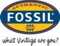 FOSSIL JEWELS